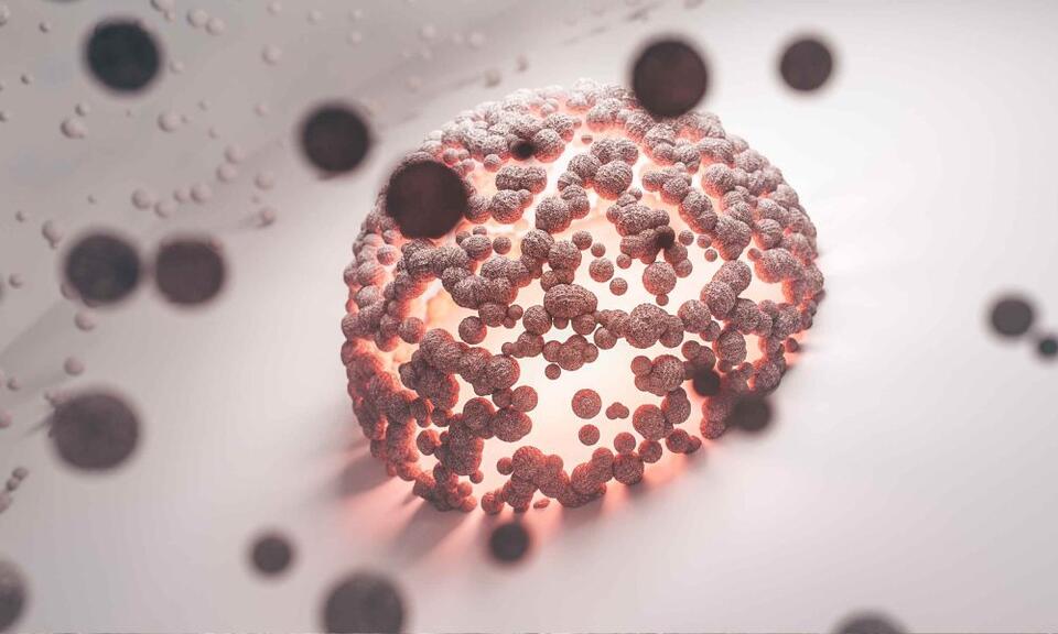 Scientists watch humans’ most active ‘parasite gene’ cutting DNA