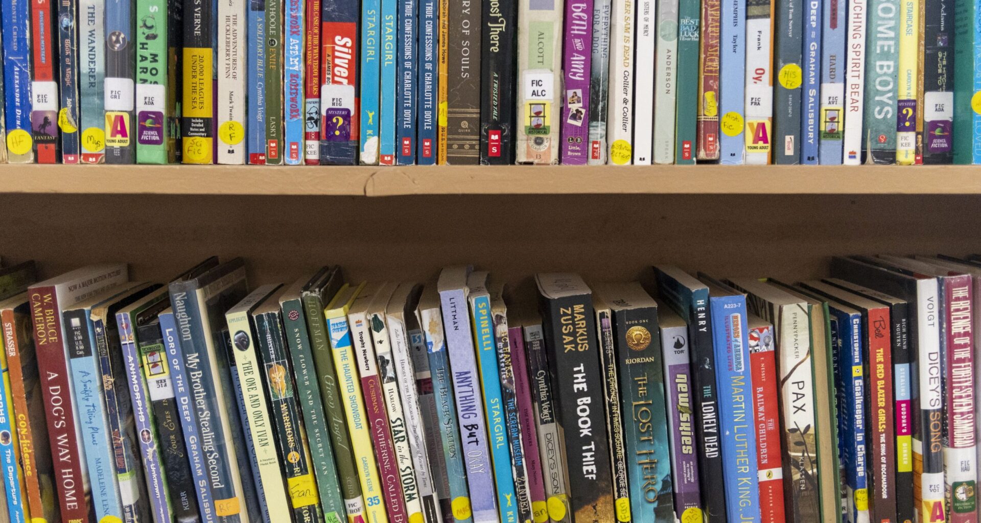 New fight for Michigan libraries: Keeping AI-generated books off shelves