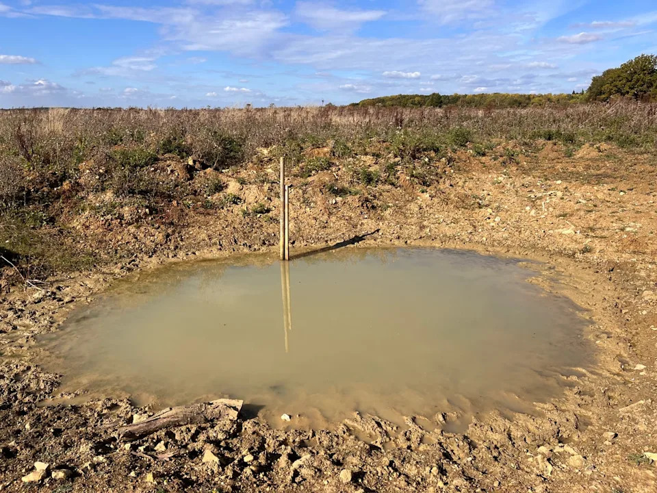 Long-vanished “ghost ponds” have been reinstated, with protected great crested newts already detected using them (Emily Beament/PA Wire)