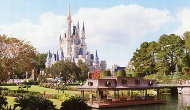 A father who took his family to Orlando's Walt Disney World resort has highlighted the eye-watering cost of souvenirs and gifts available at the park - sending social media into a frenzy (stock image)