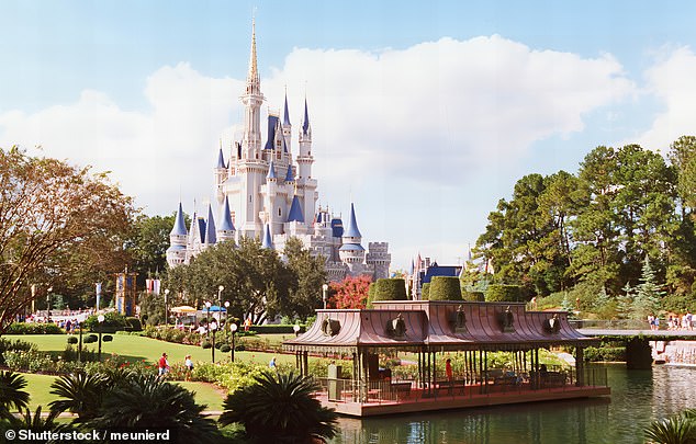 A father who took his family to Orlando's Walt Disney World resort has highlighted the eye-watering cost of souvenirs and gifts available at the park - sending social media into a frenzy (stock image)