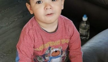 It took almost three weeks of digging in a vast marshy wasteland in north Dublin to find the skeletal remains of three-year-old Daniel Aruebose (pictured at around two years old)