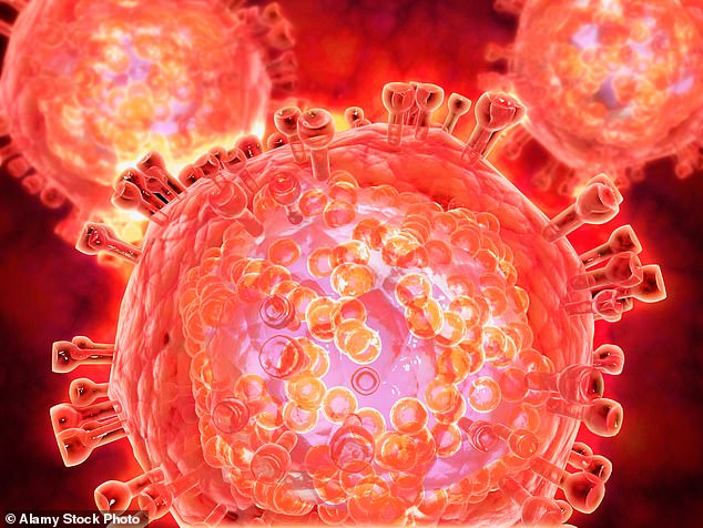 The move marks a major step towards the NHS's goal of becoming the first health service in the world to eliminate HIV transmission by 2030. Above, the HIV virus