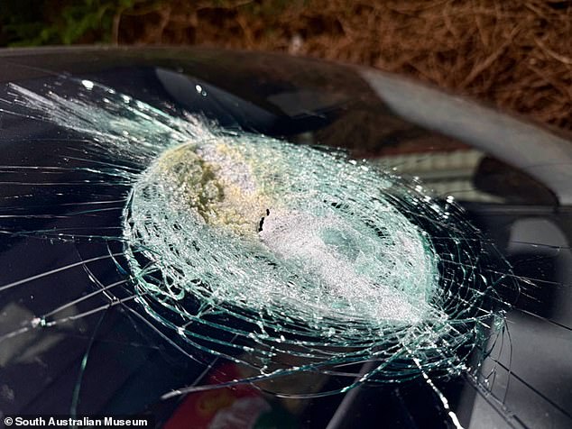 The impact is now being investigated by the South Australian Museum, which will be able to determine whether it really was caused by a meteorite