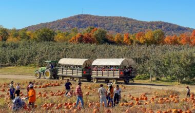 41-year-old took over family's struggling apple farm in his 20s—now, it's a popular fall destination