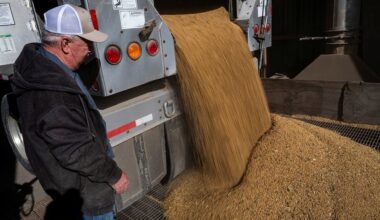 Trump threatens China with cooking oil embargo over soybean snub