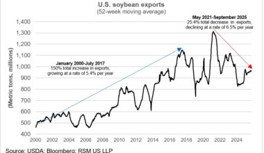 Tariffs and the likely bailout of soybean farmers