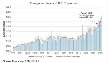 Attractiveness of dollar-denominated securities at risk
