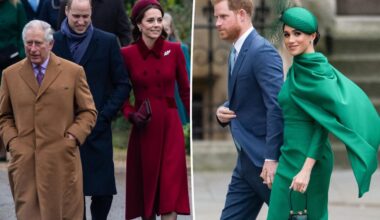 Meghan Markle and Prince Harry's secret plot to make up with the royal family named 'Project Thaw'