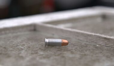 Is the EUDI wallet a digital silver bullet?