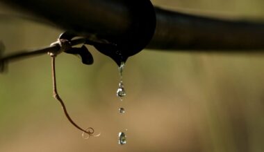 Can Europe’s farmers save the water cycle?
