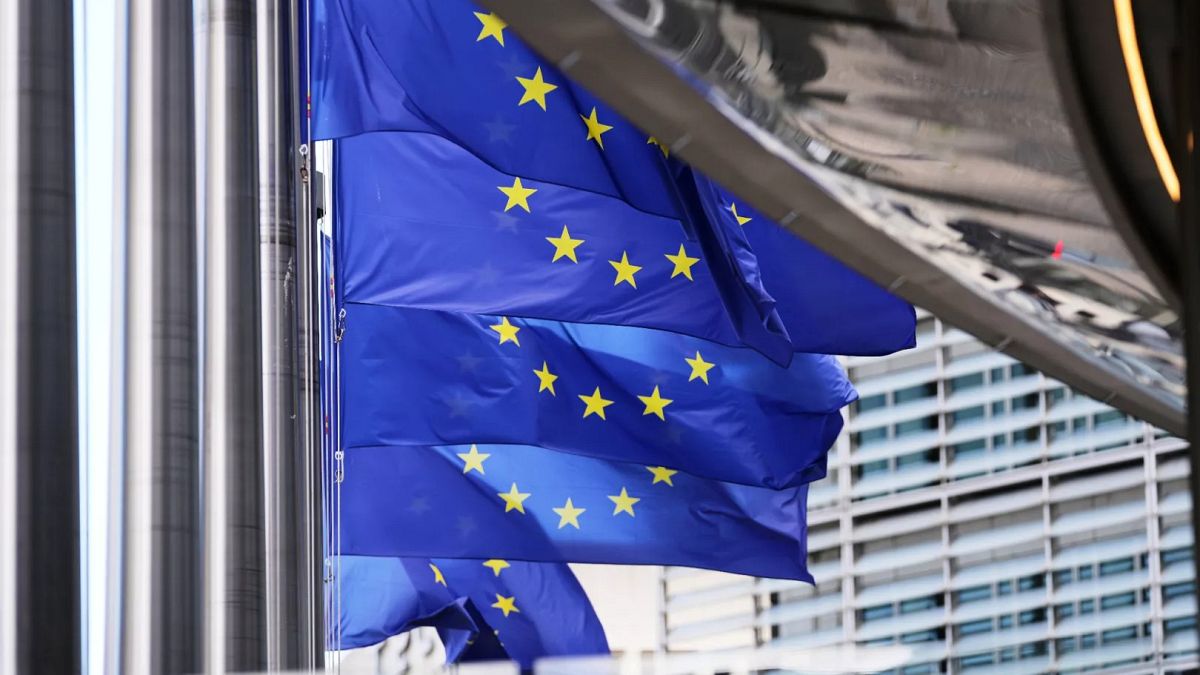 EU cautiously welcomes Trump-Putin meeting in Budapest but experts remain sceptical