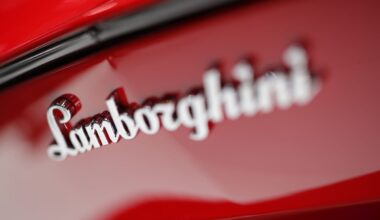 Lamborghinis Show $116 Million South Africa Hospital Graft