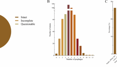 Prophage landscape in Enterococcus faecium: diversity, resistance genes, virulence factors, and endolysin profiling | BMC Genomics