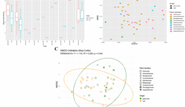 Endophytic bacterial communities associated with halophytic plants in kebili and Gabes regions of Southern Tunisia | BMC Microbiology