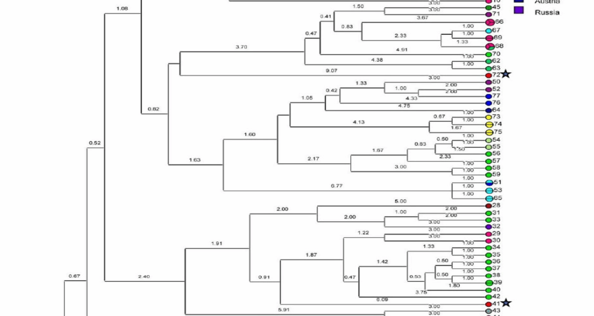 Genotyping of Coxiella burnetii isolates in Iran using Multiple-locus variable-number tandem repeat analysis (MLVA) | BMC Microbiology