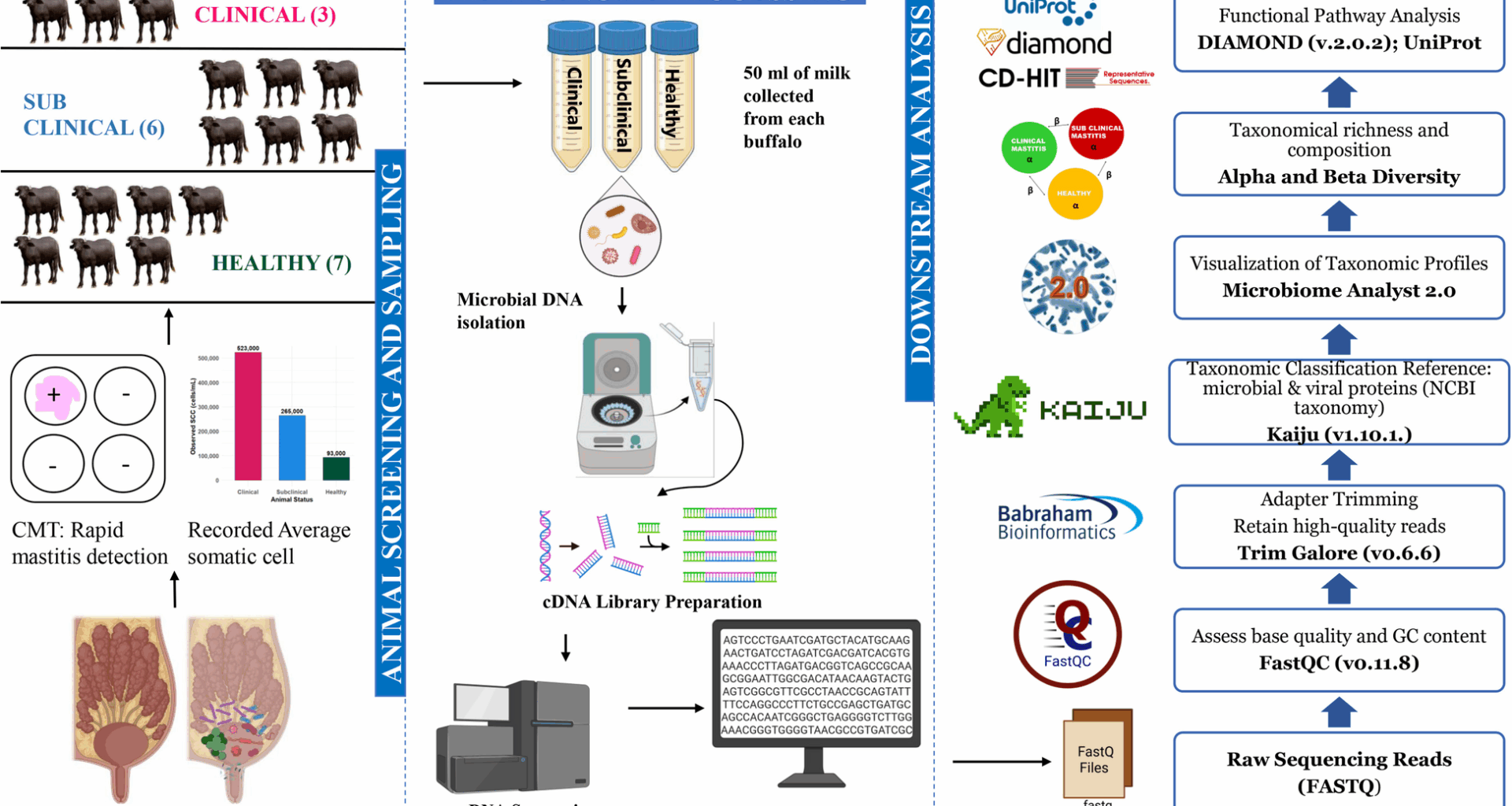 Microbiome study of Murrah buffalo mastitis milk with emphasis on Acinetobacter species | BMC Microbiology