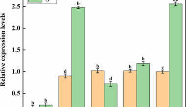 Transcriptomic analysis reveals the role of the molybdate transporter2 in mediating nitrate stress tolerance in tomato seedlings | BMC Plant Biology