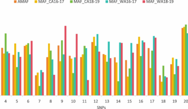 Genetic diversity and population structures of Plasmodium falciparum parasites imported to China from Central and West Africa determined using a SNP barcode | BMC Infectious Diseases