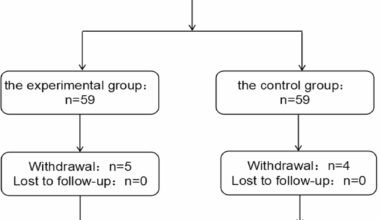 Enhancing gestational diabetes mellitus education: a randomized controlled trial of King’s theory and FMEA-PDCA integration for improved patient outcomes | BMC Pregnancy and Childbirth
