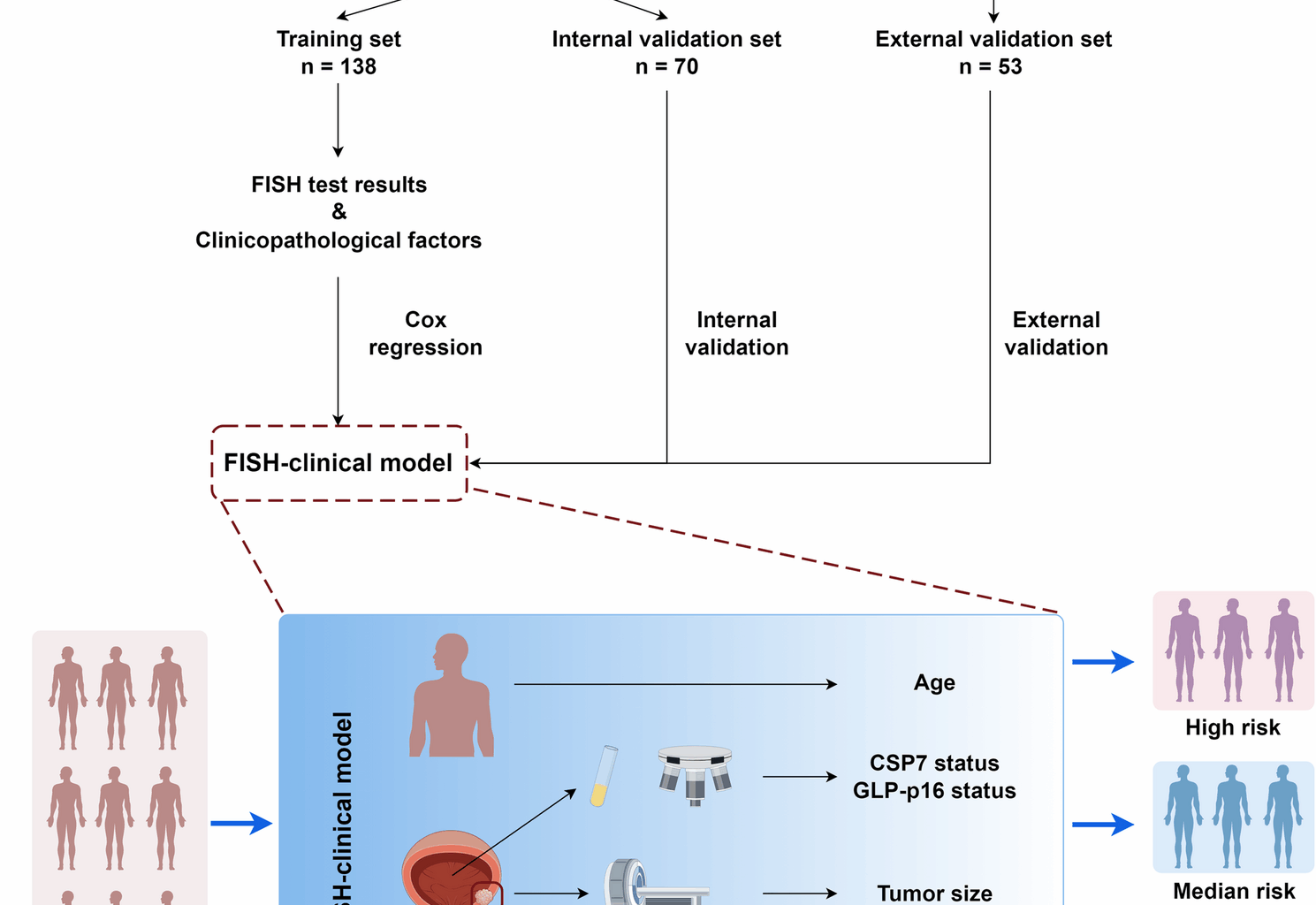 Development and external validation of a FISH-clinical nomogram for predicting overall survival in bladder cancer patients after radical cystectomy | BMC Cancer