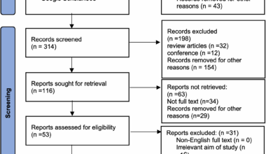 Curcumin in prostate cancer: a systematic review of molecular mechanisms and nanoformulated therapeutic strategies | BMC Cancer