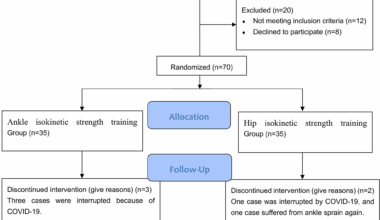 Can isokinetic muscle strength training with hip abduction and adduction improve muscle strength, balance, and gait in patients with functional ankle instability? A randomized controlled trial | BMC Musculoskeletal Disorders
