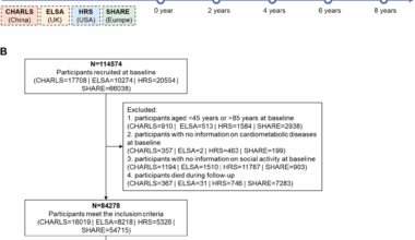 Cardiometabolic multimorbidity, social activity, and joint trajectories of physical disability, depressive symptom, and cognitive function in mid-to-late life: a multicohort study | BMC Medicine