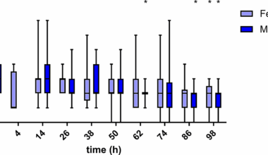Subcutaneous methadone is not different than transdermal fentanyl for postoperative analgesia in dogs with thoracolumbar disc disease, a prospective, randomised, blinded clinical study | BMC Veterinary Research