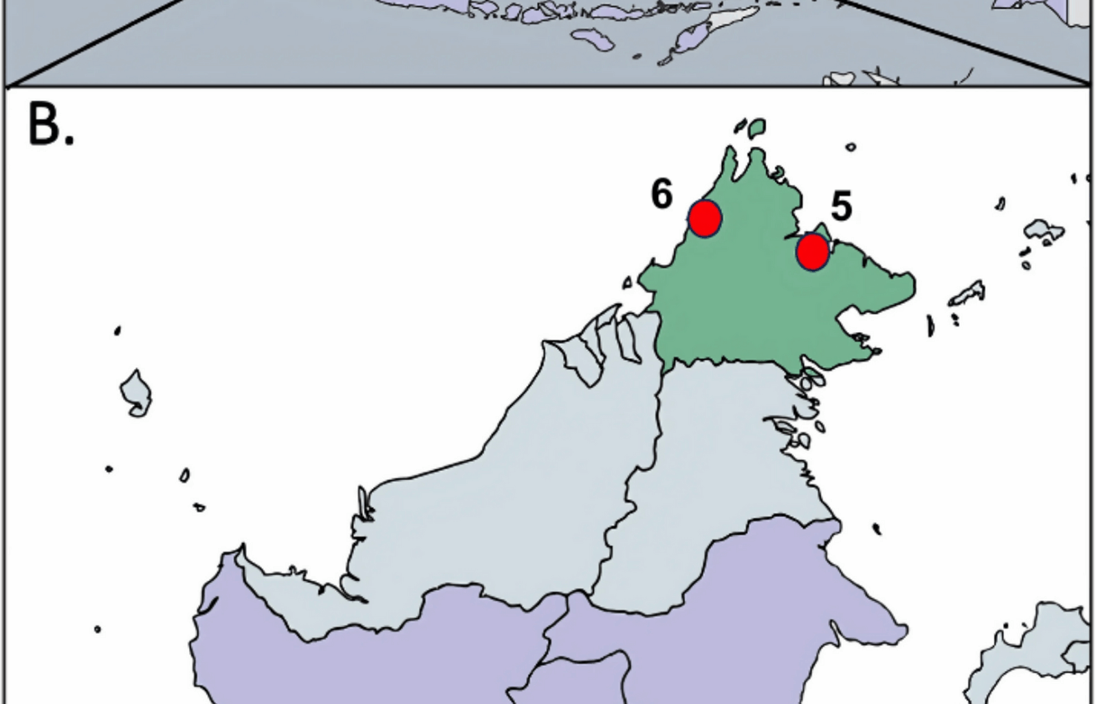 The mitochondrial genome sequence of the Bornean orang-utan (Pongo pygmaeus) malaria parasite, Plasmodium pitheci | Malaria Journal