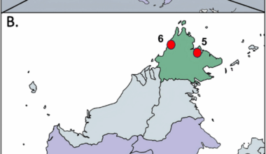 The mitochondrial genome sequence of the Bornean orang-utan (Pongo pygmaeus) malaria parasite, Plasmodium pitheci | Malaria Journal
