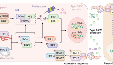 Context-dependent impact of type I interferon signaling in cancer | Molecular Cancer