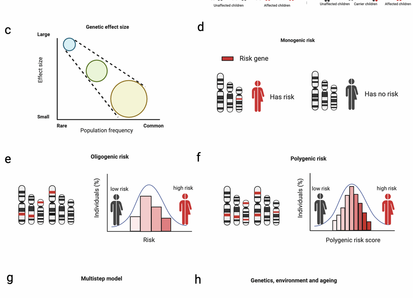 Entering the era of precision medicine to treat amyotrophic lateral sclerosis | Molecular Neurodegeneration