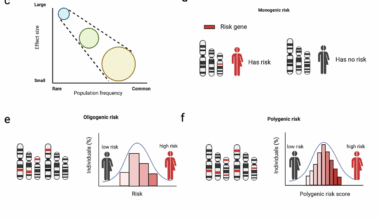 Entering the era of precision medicine to treat amyotrophic lateral sclerosis | Molecular Neurodegeneration