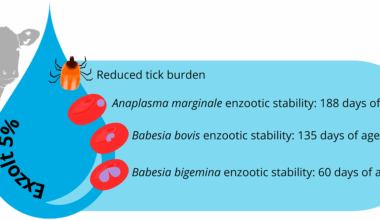 Does fluralaner (Exzolt® 5%) affect the enzootic stability of tick fever in beef calves subjected to strategic tick control in a tropical region? | Parasites & Vectors