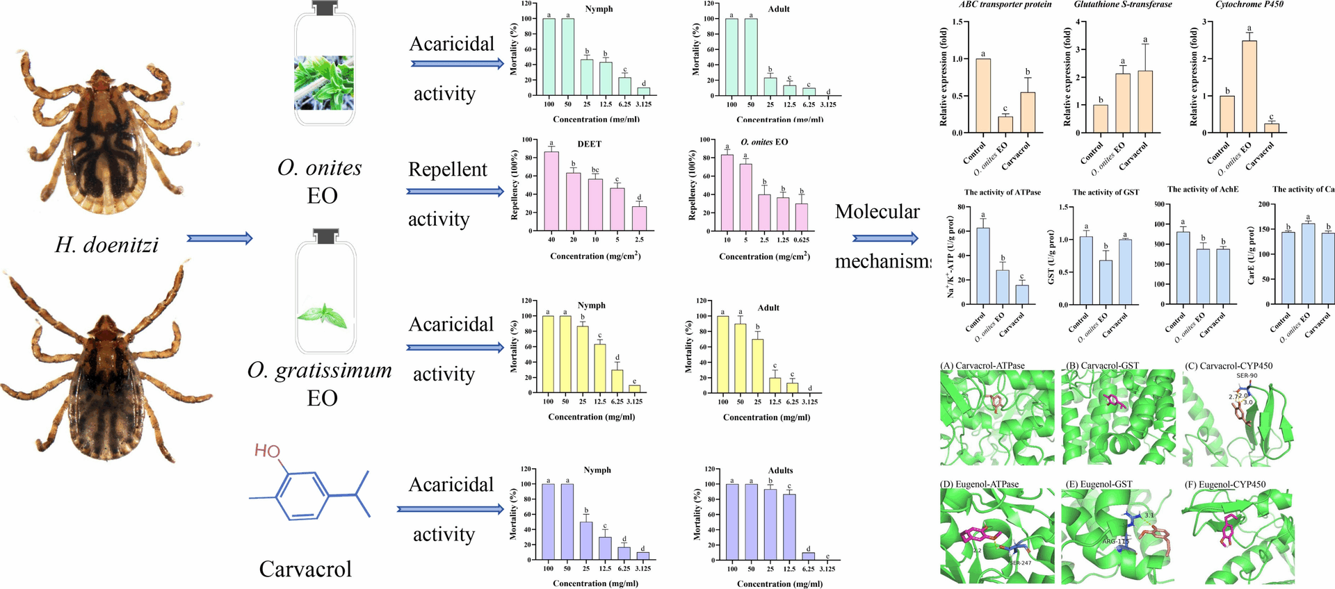 Acaricidal bioactivity and molecular target analysis of Origanum onites and Ocimum gratissimum essential oils against Haemaphysalis doenitzi ticks | Parasites & Vectors