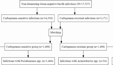 The impact of carbapenem-resistant infections in intensive care units: focus on non-fermenting gram-negative bacilli and survival analysis | Antimicrobial Resistance & Infection Control