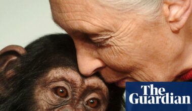 Jane Goodall – a life in pictures | Science