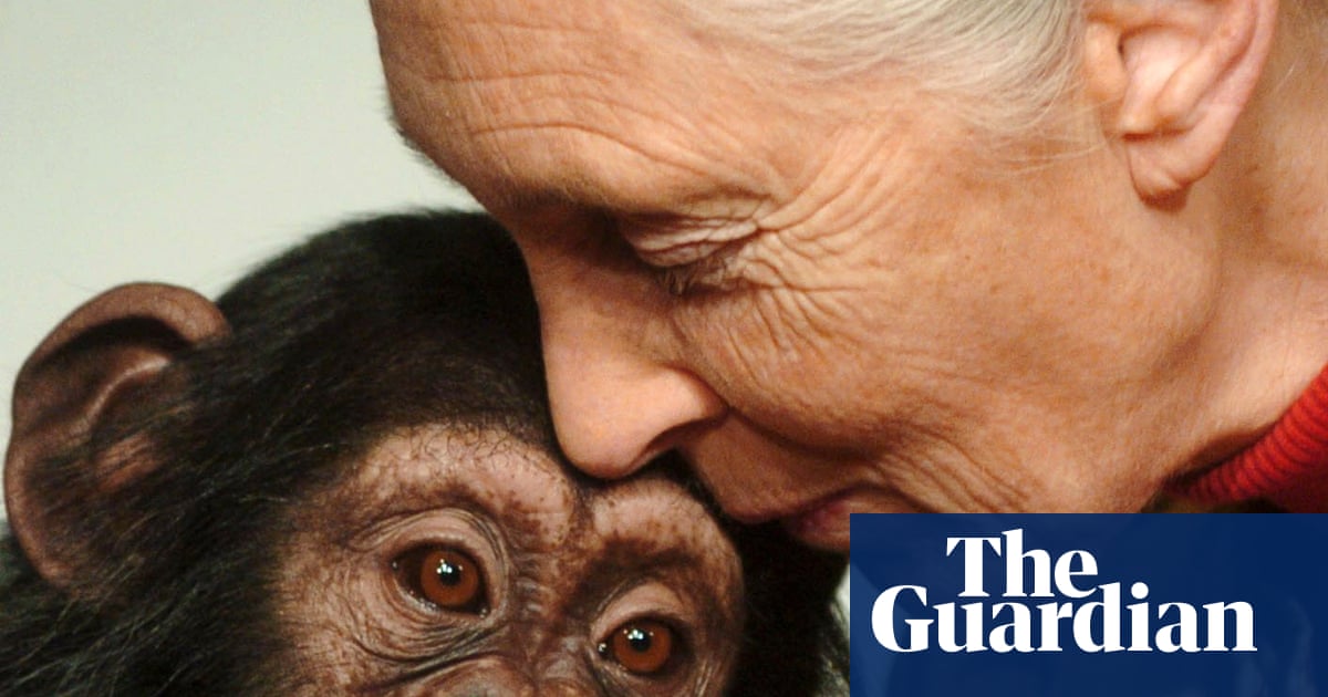 Jane Goodall – a life in pictures | Science