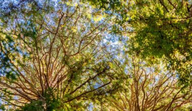 Cracking Long-standing Weakness In Classic Algorithm