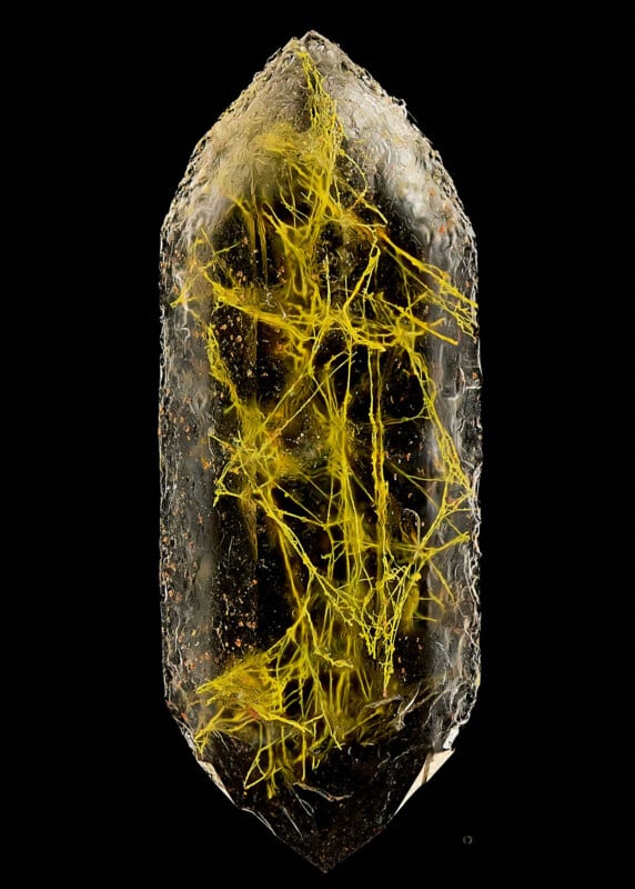 A clear quartz crystal with intricate, bright yellow mineral inclusions forming a web-like pattern inside, set against a black background.
