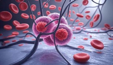 Tiny metal particles show potential in targeting cancer cells: Study