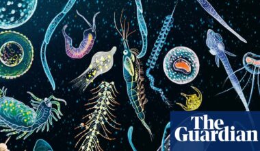 Children and teens roundup – the best new picture books and novels | Teen books