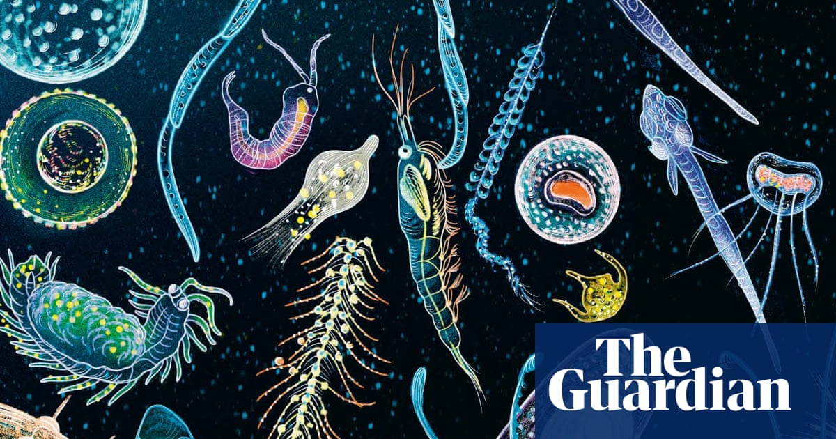 Children and teens roundup – the best new picture books and novels | Teen books