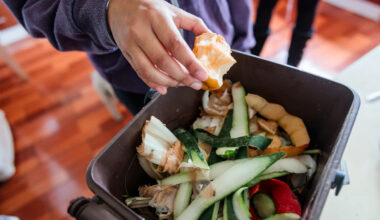 What really happens to the food waste in your bin when you recycle it