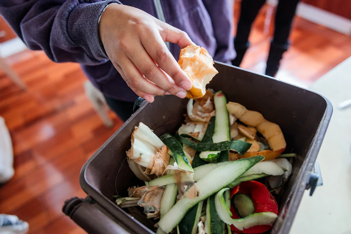 What really happens to the food waste in your bin when you recycle it