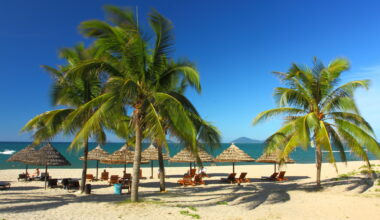 Tracking the rebound in tourism employment