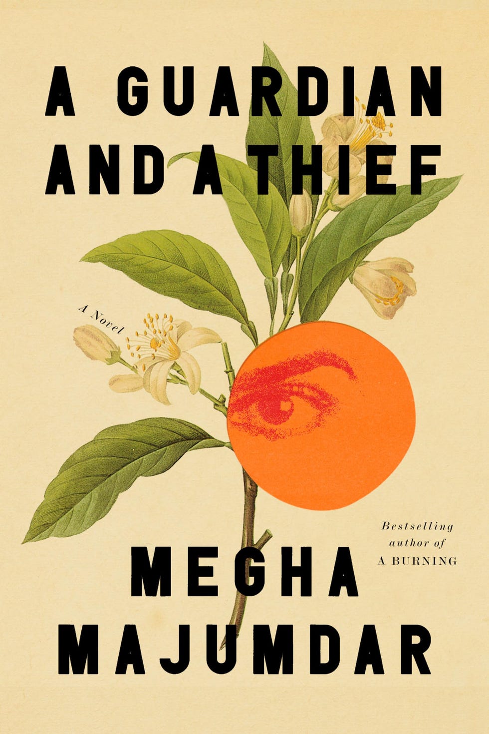 <i>A Guardian and a Thief,</i> by Megha Majumdar