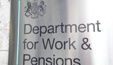 Ipso logo