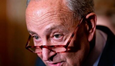 US vote to end government shutdown fails as Democrats stand by demands